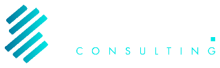 Sulzer Consulting